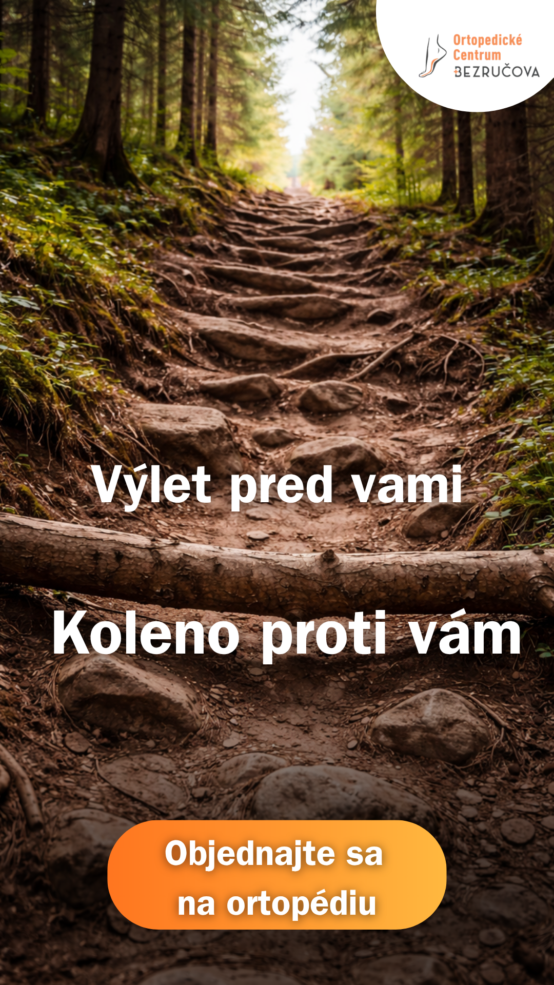 ortopedia - koleno - les